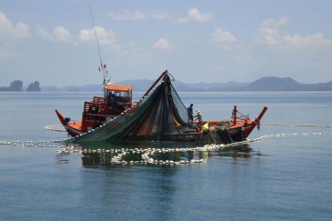 Fisherman @ Phang Nga Bay