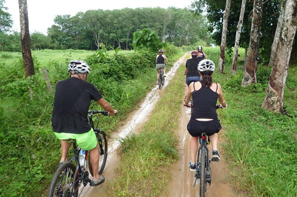 Phuket Biking Tour Northern Sothern Trails Full Day