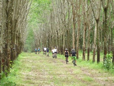 Phuket Biking Tour Northern Trails Full Day