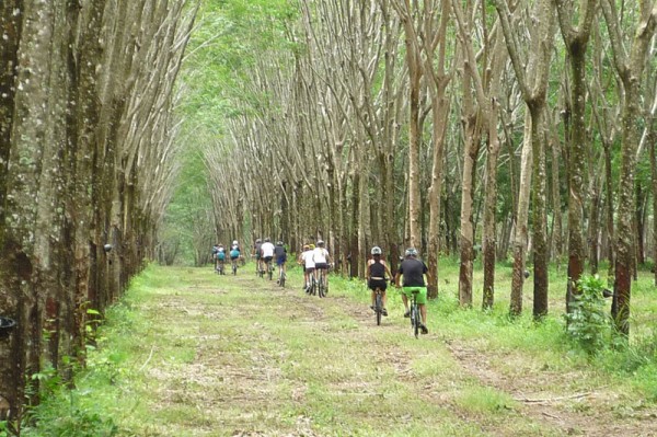 Phuket Biking Tour Northern Trails Full Day