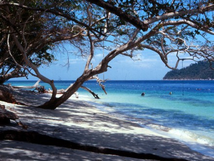 Tarutao Trips