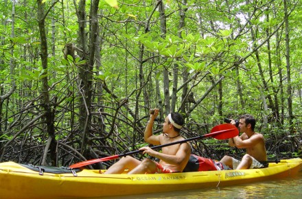 Phang Nga Bay Kayaking